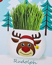 Load image into Gallery viewer, Christmas grass hair kit