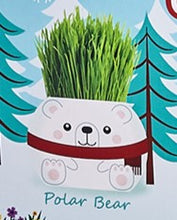 Load image into Gallery viewer, Christmas grass hair kit