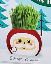Load image into Gallery viewer, Christmas grass hair kit