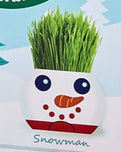 Load image into Gallery viewer, Christmas grass hair kit