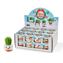 Load image into Gallery viewer, Christmas grass hair kit