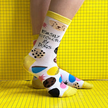 Load image into Gallery viewer, Socks - easily distracted by dogs