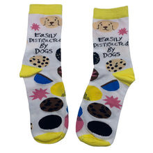 Load image into Gallery viewer, Socks - easily distracted by dogs