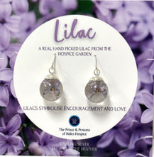 Load image into Gallery viewer, PPWH sterling silver Hospice garden earrings - lilac