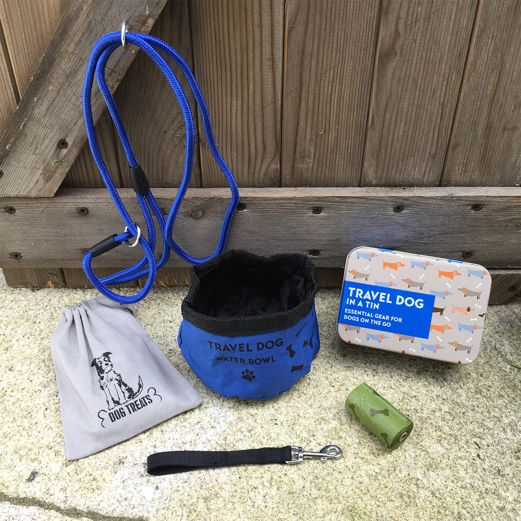 Travel dog in a tin