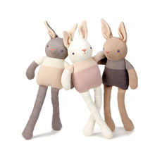 Load image into Gallery viewer, Baby bunny doll
