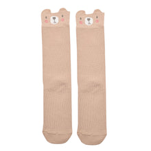 Load image into Gallery viewer, Family socks gift set
