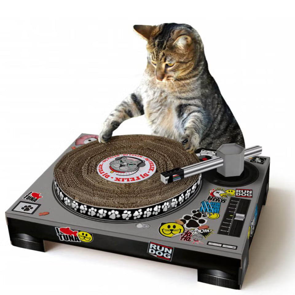 Cat playhouse and scratch pad - record player