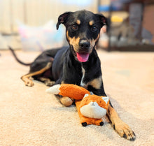Load image into Gallery viewer, Flying fox dog toy
