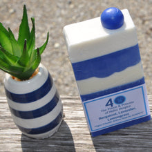 Load image into Gallery viewer, PPWH Anniversary Soap- Stripe (Vegan)
