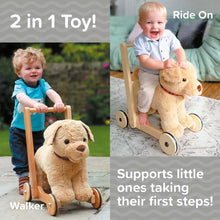 Load image into Gallery viewer, Dexter Dog baby walker
