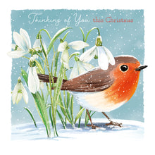Load image into Gallery viewer, Christmas cards - twin pack - snowdrop robin and bauble
