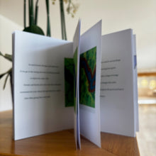 Load image into Gallery viewer, Life As A River by Sean O'Hagan
