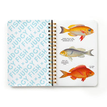 Load image into Gallery viewer, Sticker books
