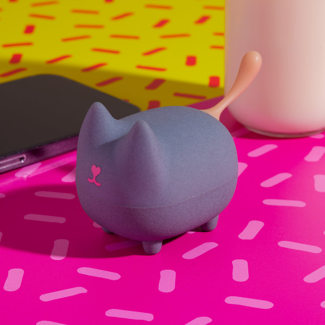 Portable cat speaker