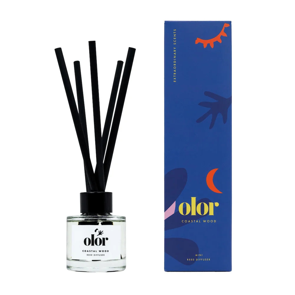 Handpoured mini reed diffuser - coastal wood