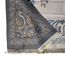 Load image into Gallery viewer, Scarf - rose / grey paisley
