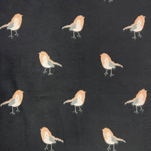 Load image into Gallery viewer, Robin cashmere blend scarf
