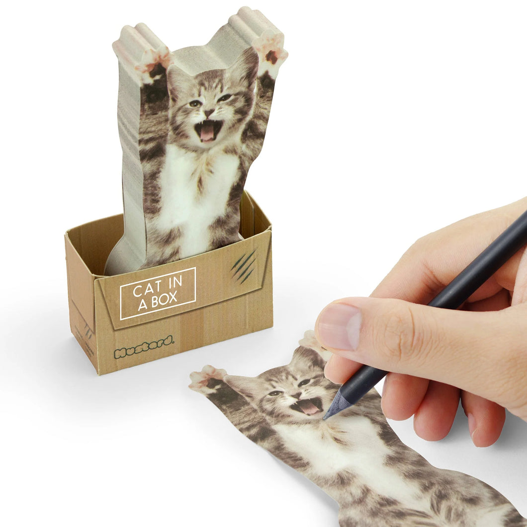 Sticky notes - cat