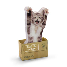 Load image into Gallery viewer, Sticky notes - cat
