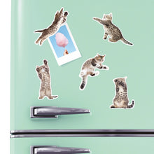 Load image into Gallery viewer, Magnets - action cats
