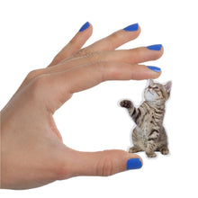Load image into Gallery viewer, Magnets - action cats
