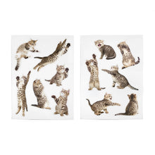 Load image into Gallery viewer, Magnets - action cats
