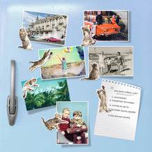 Load image into Gallery viewer, Magnets - action cats
