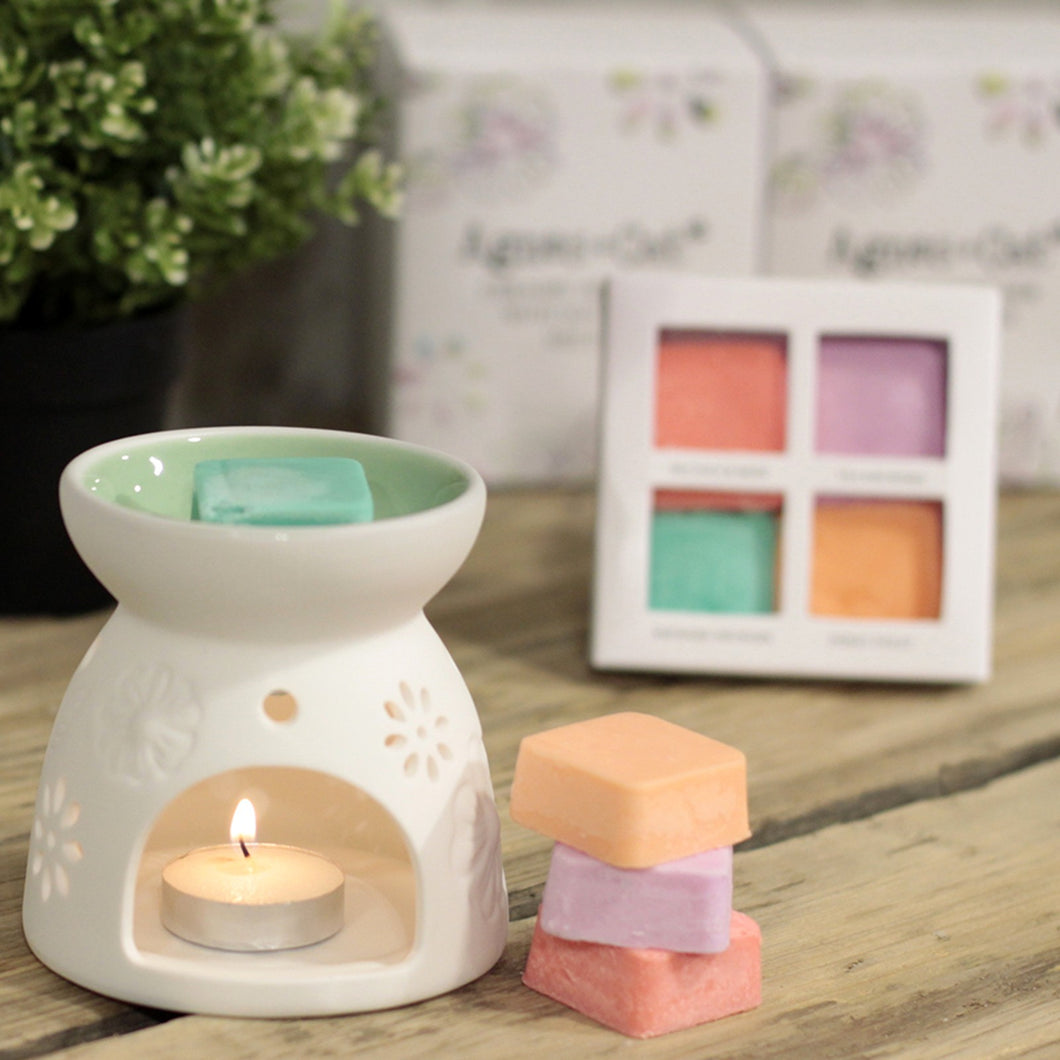 Ceramic Diffuser with Soy Wax Melts by Agnes + Cat