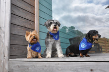 Load image into Gallery viewer, Three dogs with Prince and Prince of Wales Blue Collar Bandana
