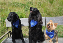 Load image into Gallery viewer, PPWH Doggy bandanas
