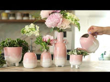 Load and play video in Gallery viewer, Mojave Glaze Pink Mini Planter- Sass &amp; Belle
